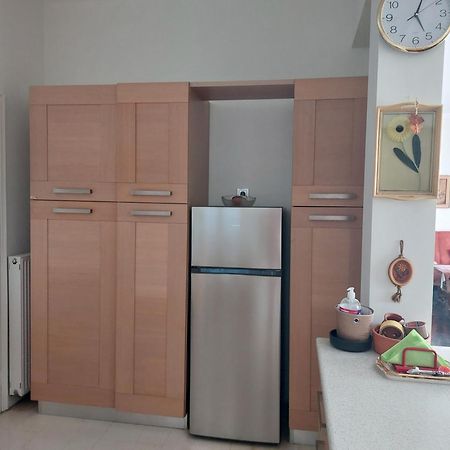 Penthouse Anneliese Apartment เอเธนส์ ภายนอก รูปภาพ
